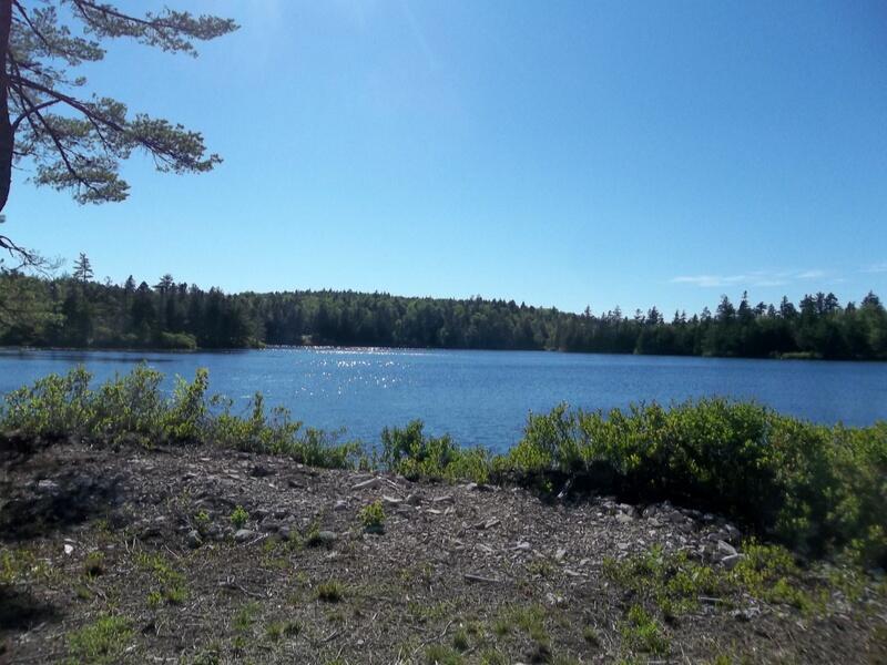 X X Goulding Lake Road Robbinston, ME 04671 - Photo 9 of 20 100_9968