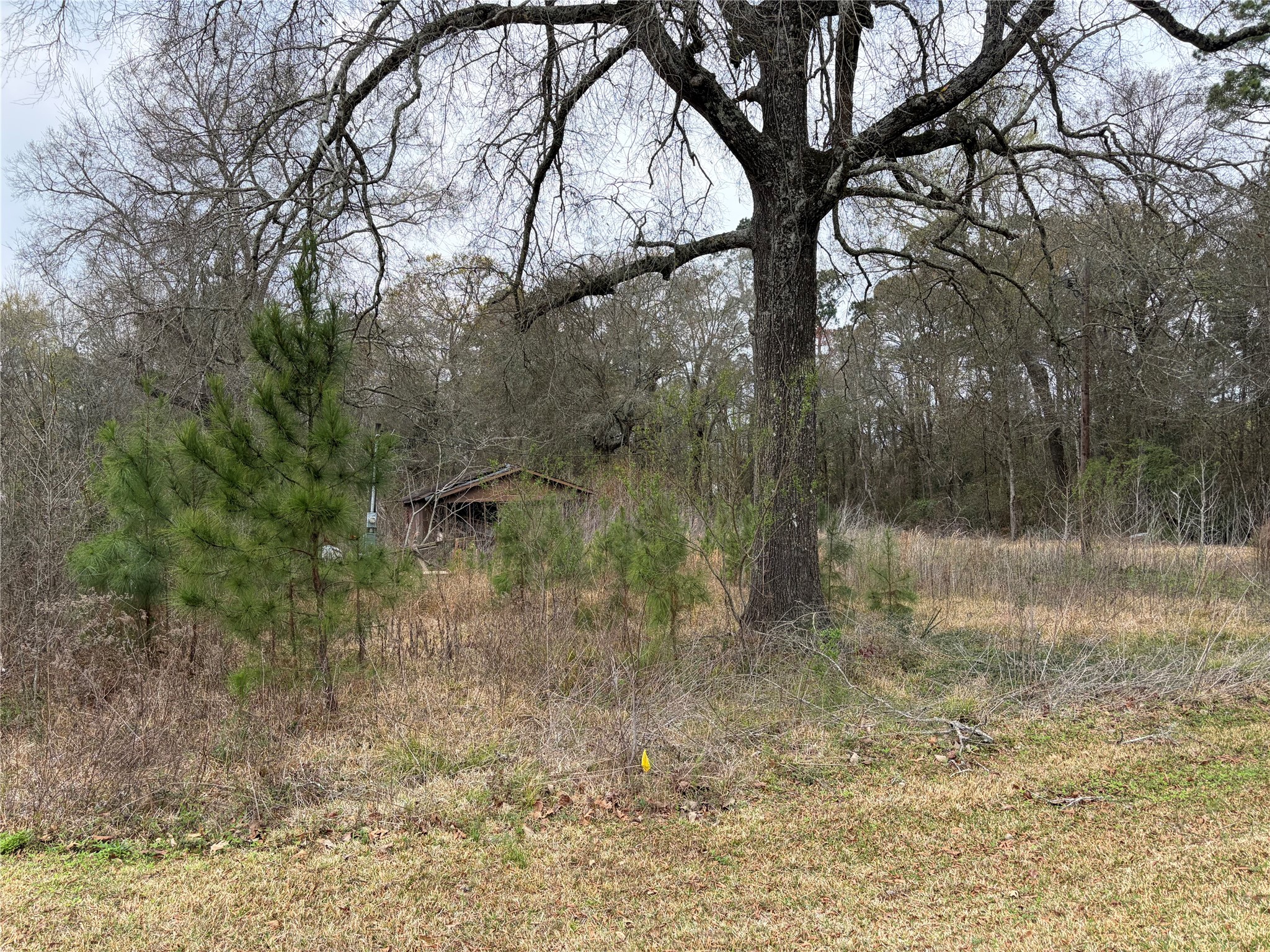 1345 3rd Street Vidor, TX 77662 - Photo 3 of 3