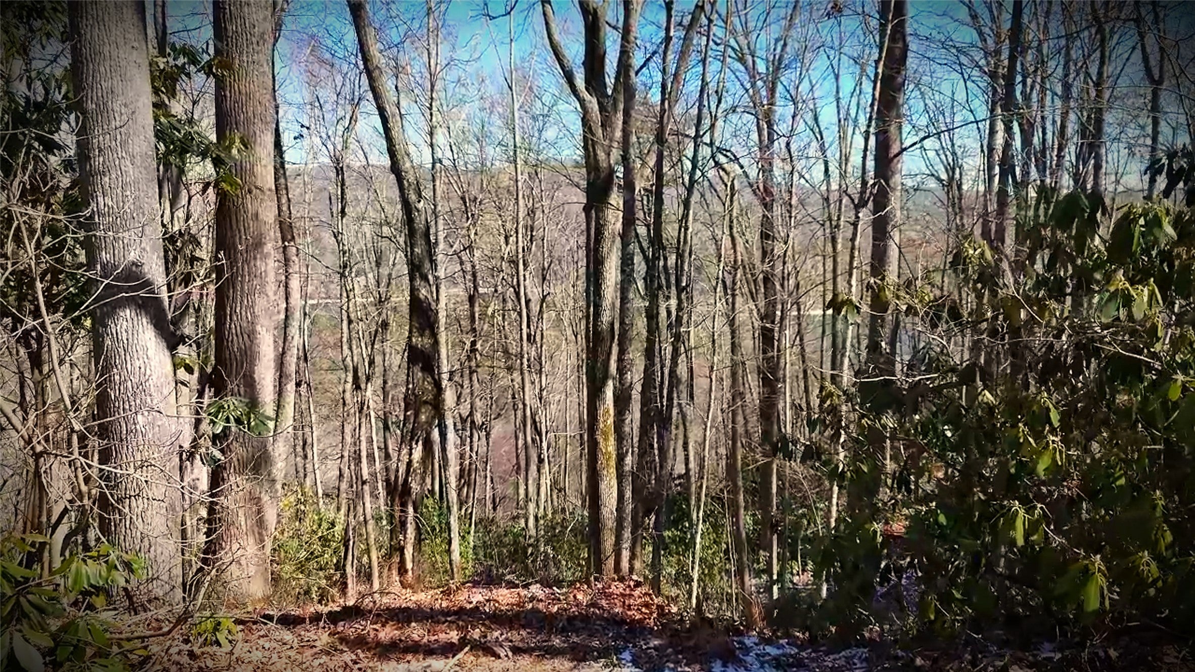 20 Bright Mountain Road Cullowhee, NC 28723 - Photo 4 of 7 Gallery Image 4