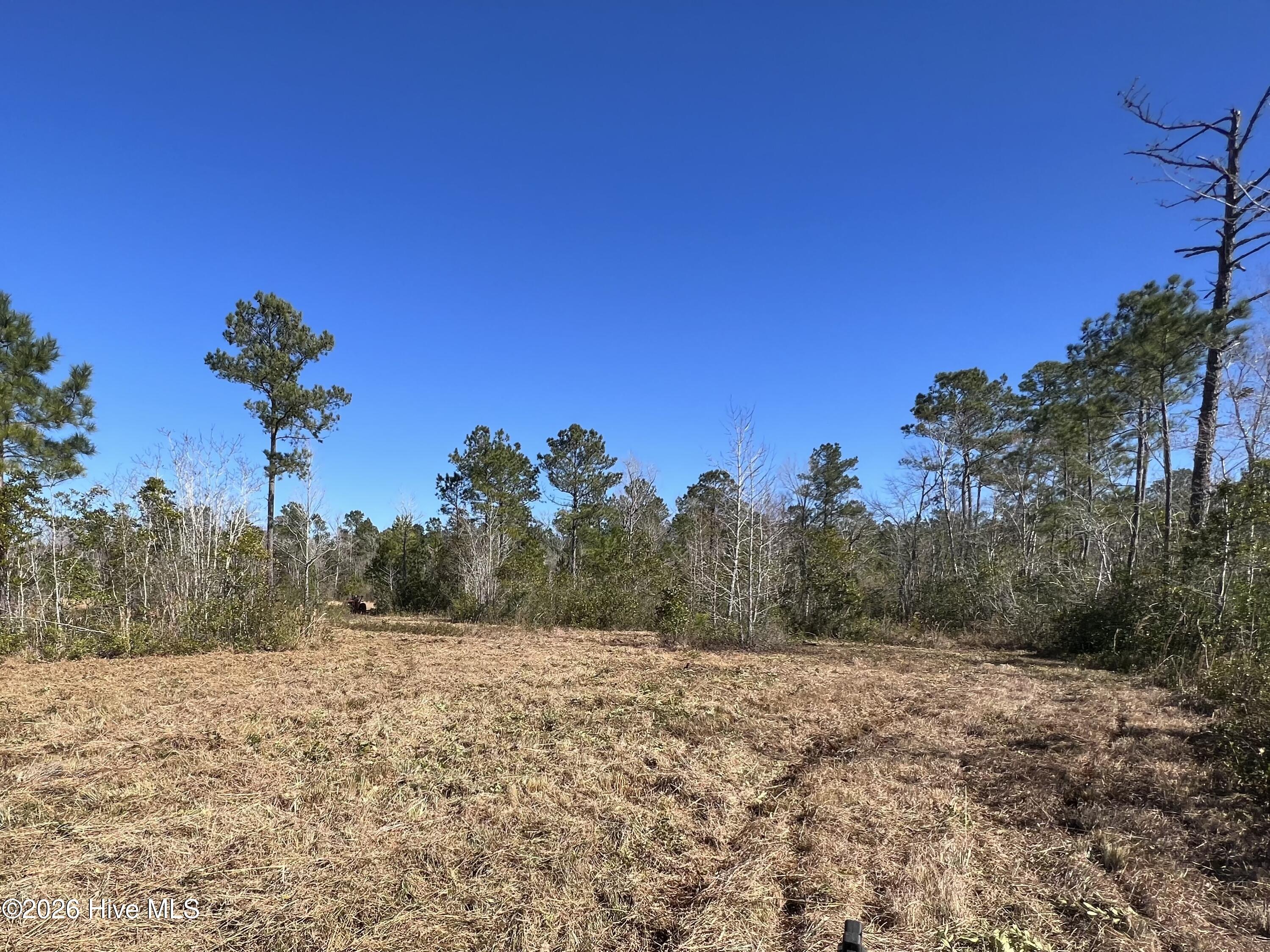 827 Chair Factory Road Nakina, NC 28455 - Photo 3 of 3