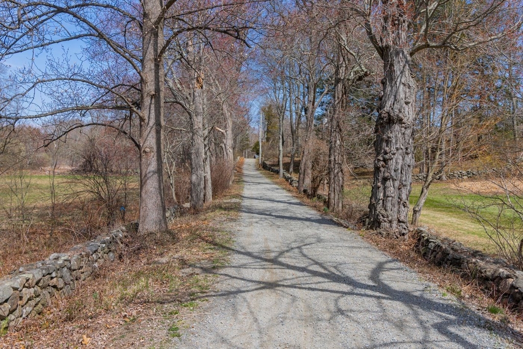 9 Maple Street Wenham, MA 01984 - Photo 12 of 42 a view of a yard with trees