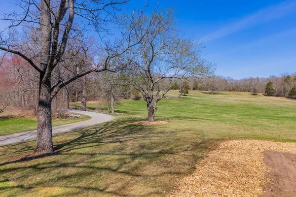 a view of a yard with an trees