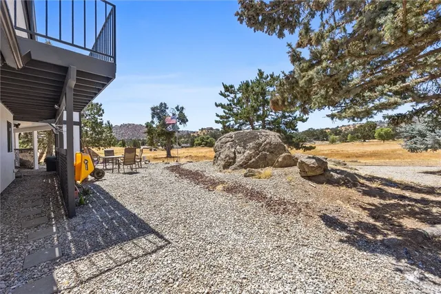 a view of a yard with plants and a tree