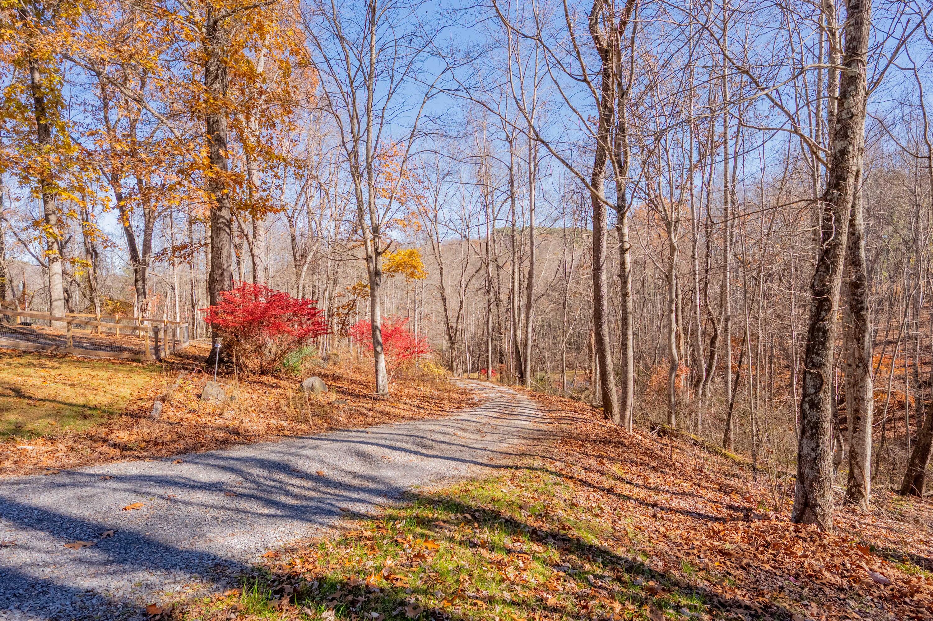 1126 Duncans Chapel Road Northwest Willis, VA 24380 - Photo 41 of 74 willis-48