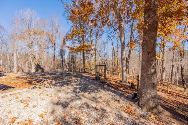 a view of a yard with plants and trees