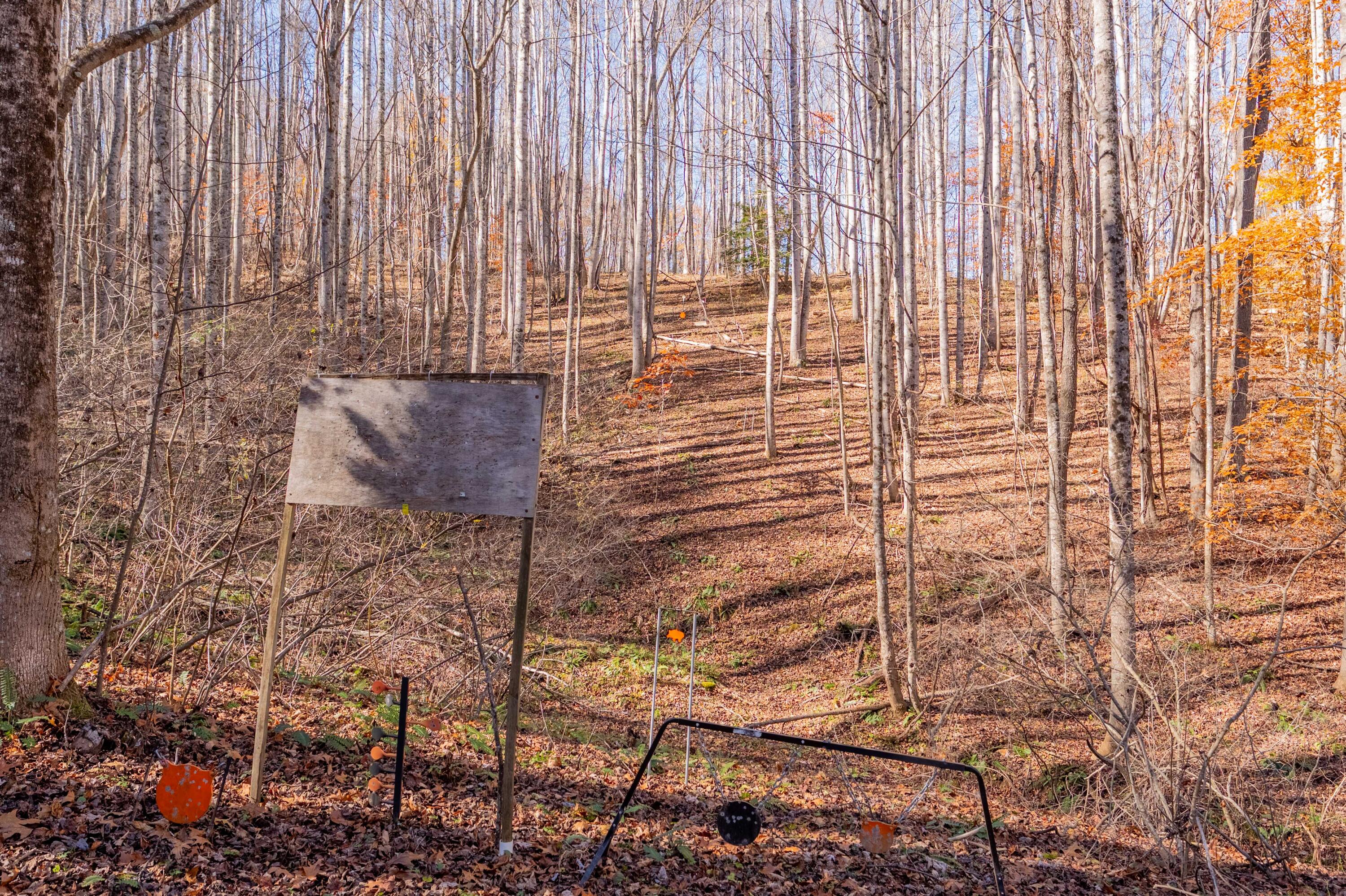 1126 Duncans Chapel Road Northwest Willis, VA 24380 - Photo 56 of 74 willis-70