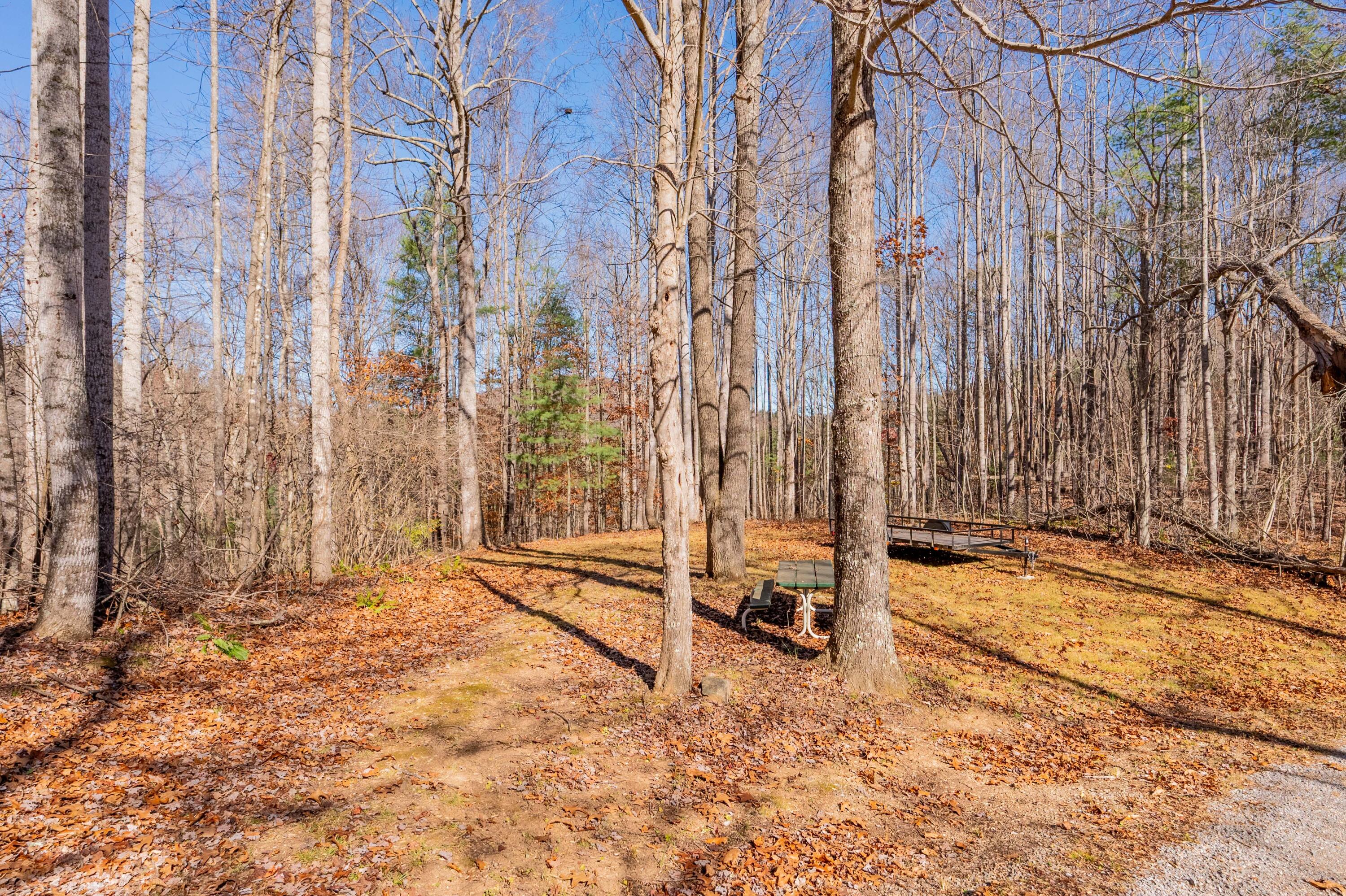 1126 Duncans Chapel Road Northwest Willis, VA 24380 - Photo 61 of 74 willis-79