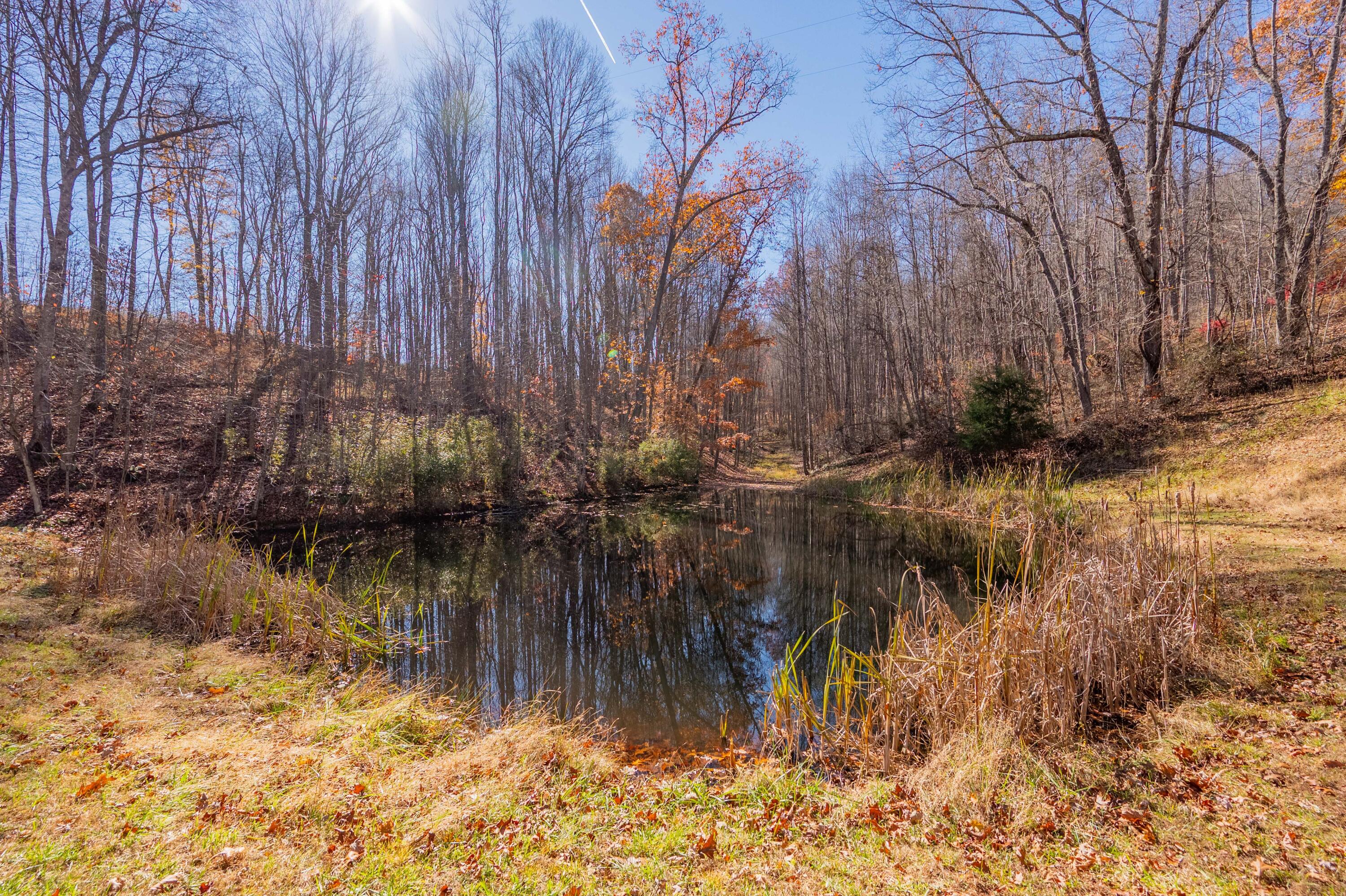 1126 Duncans Chapel Road Northwest Willis, VA 24380 - Photo 64 of 74 willis-84