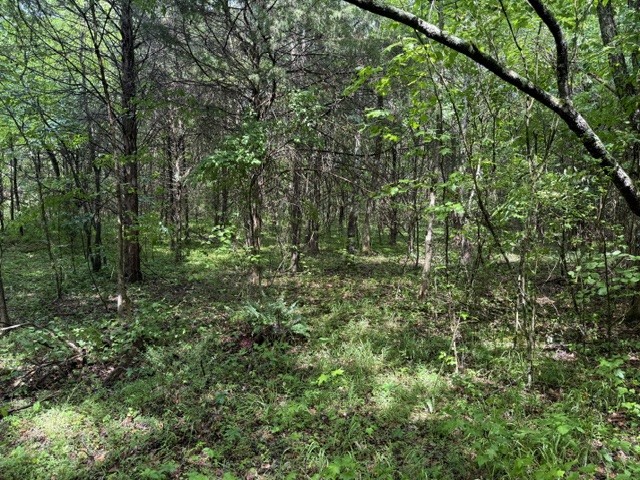 0 Teeters Road Morrison, TN 37357 - Photo 2 of 4
