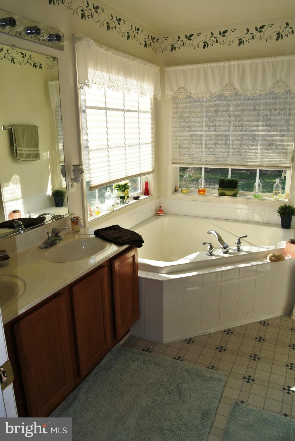 22229 Newtowne Neck Road Leonardtown, MD 20650 - Photo 18 of 30 Bath (Master)