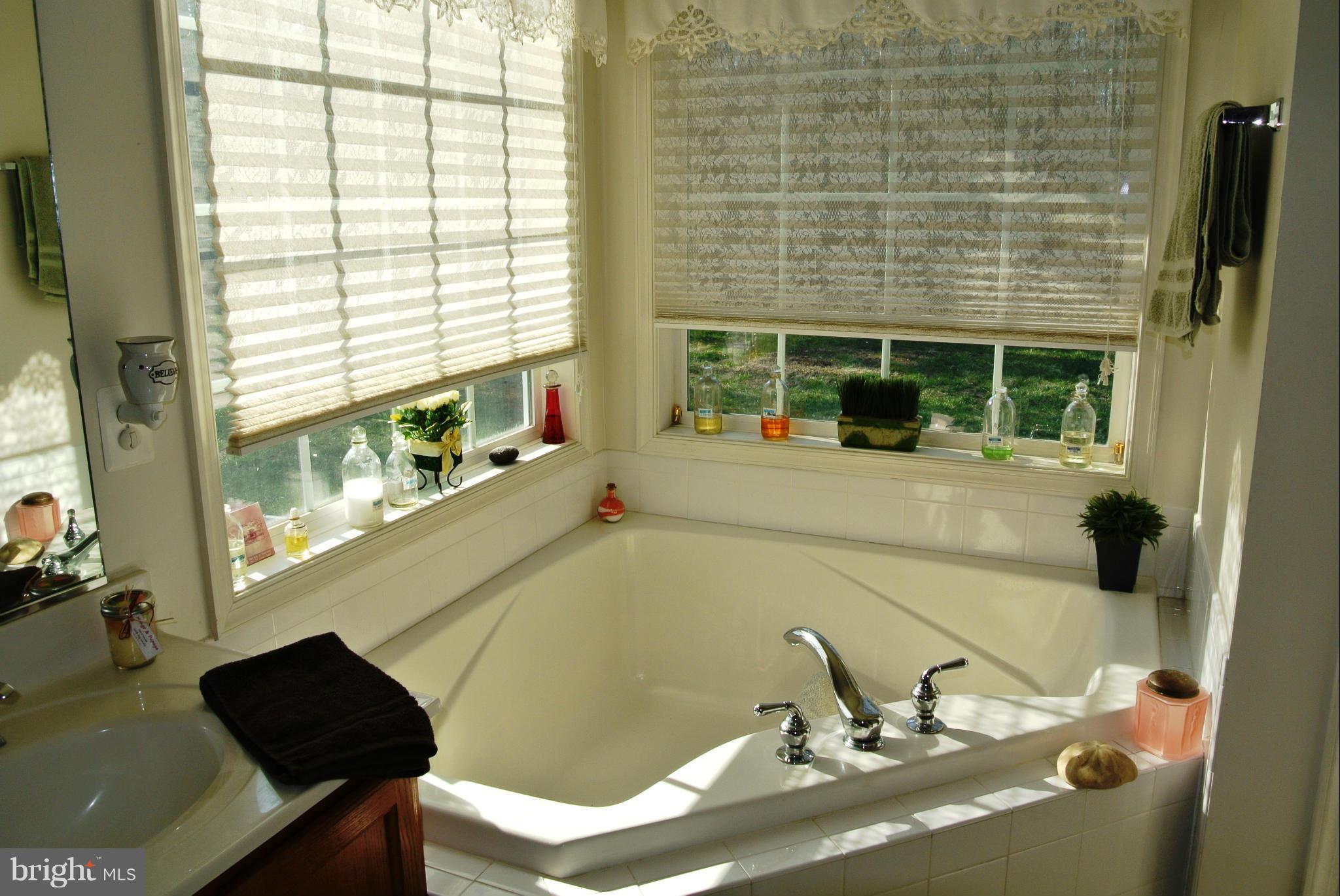 22229 Newtowne Neck Road Leonardtown, MD 20650 - Photo 19 of 30 Bath (Master)