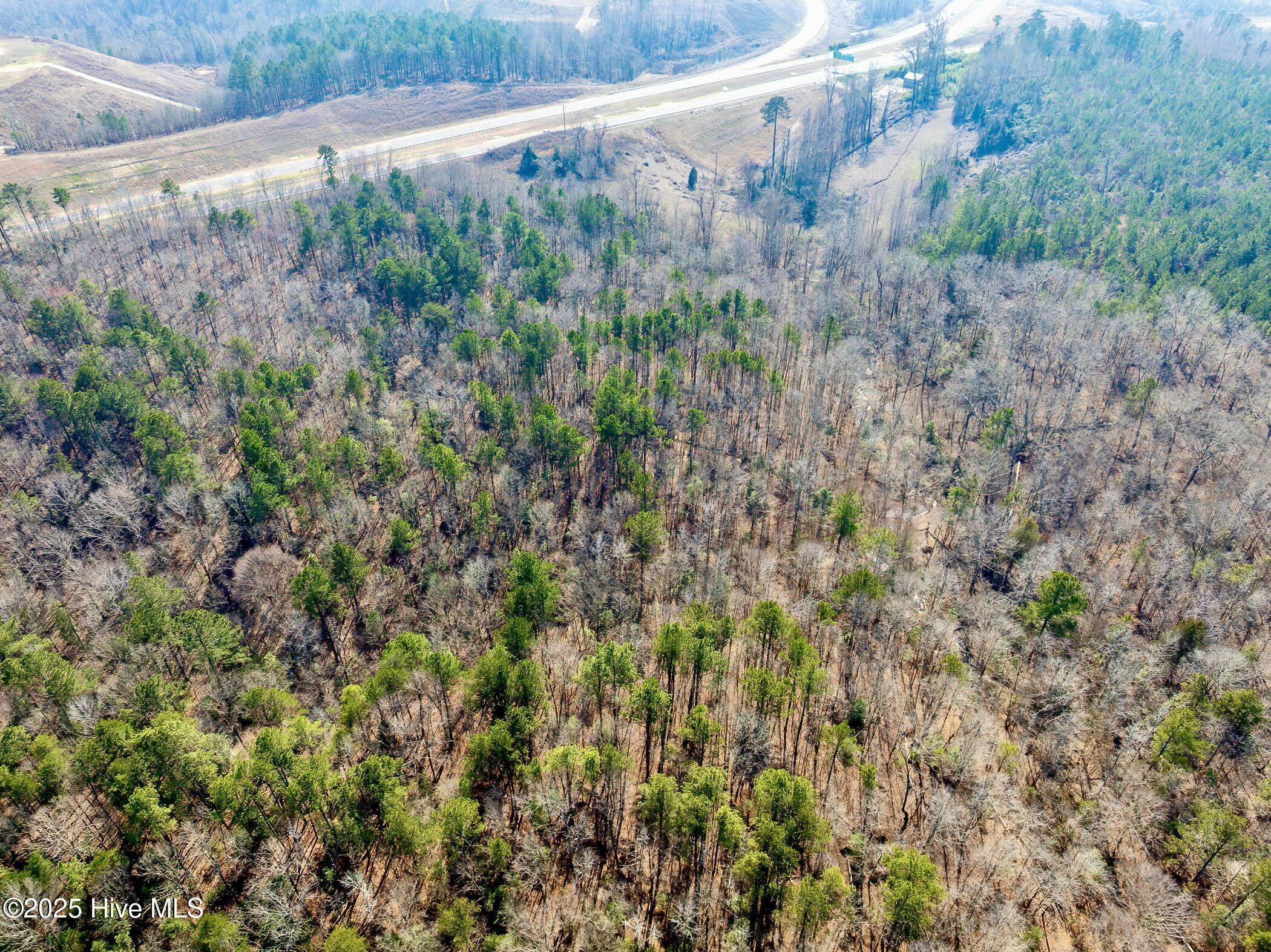 74 West Hwy Rockingham Nc 28379 Highway Rockingham, NC 28379 - Photo 14 of 20 RS 1 DJI_0346-Enhanced-NR