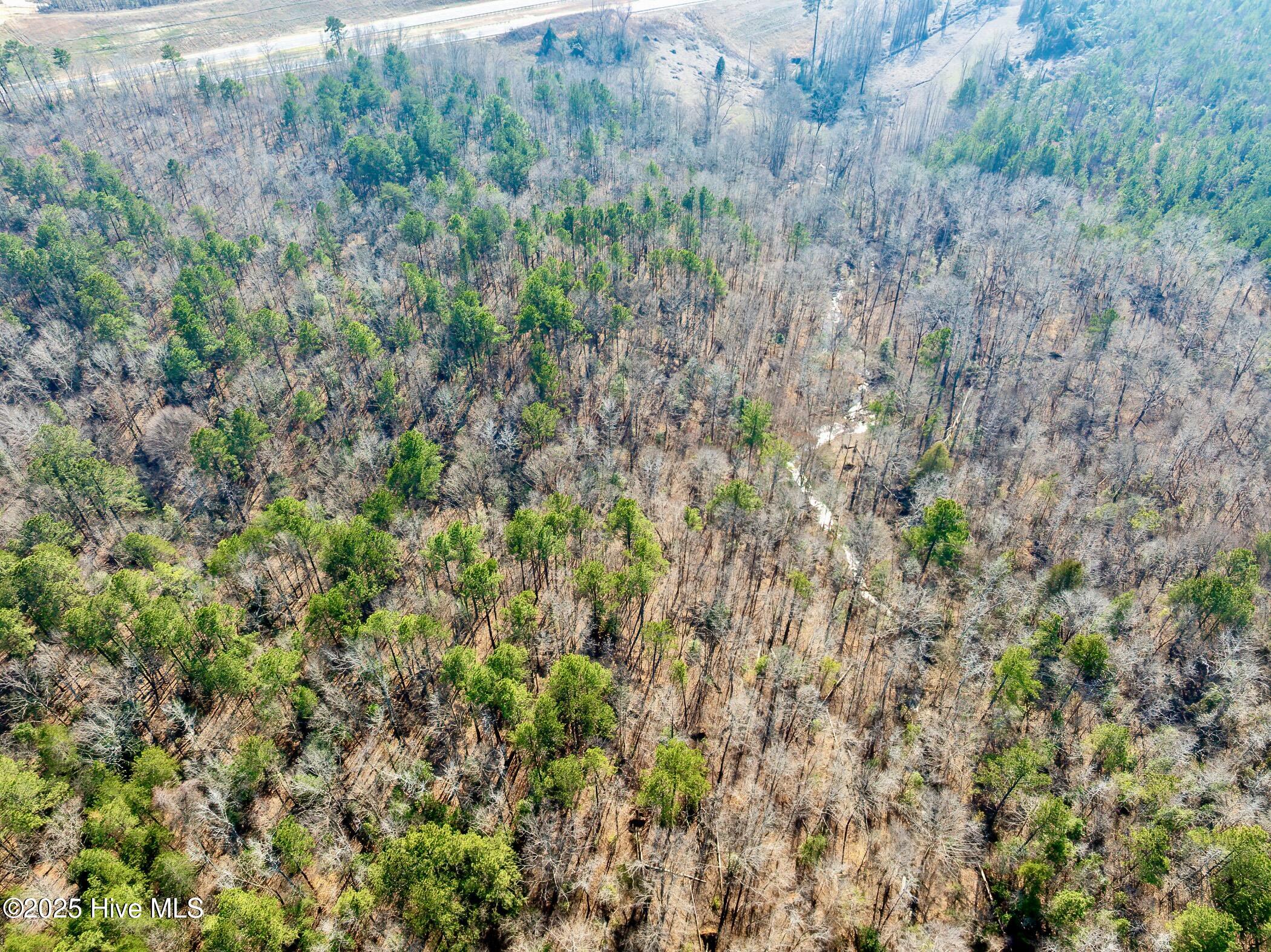 74 West Hwy Rockingham Nc 28379 Highway Rockingham, NC 28379 - Photo 15 of 20 RS 1 DJI_0347-Enhanced-NR