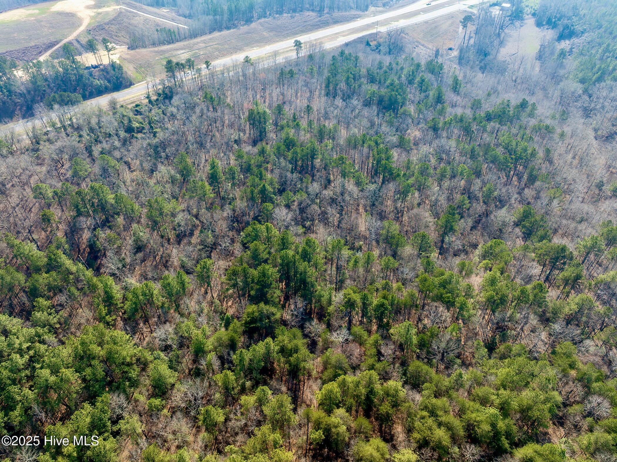74 West Hwy Rockingham Nc 28379 Highway Rockingham, NC 28379 - Photo 17 of 20 RS 1 DJI_0349-Enhanced-NR