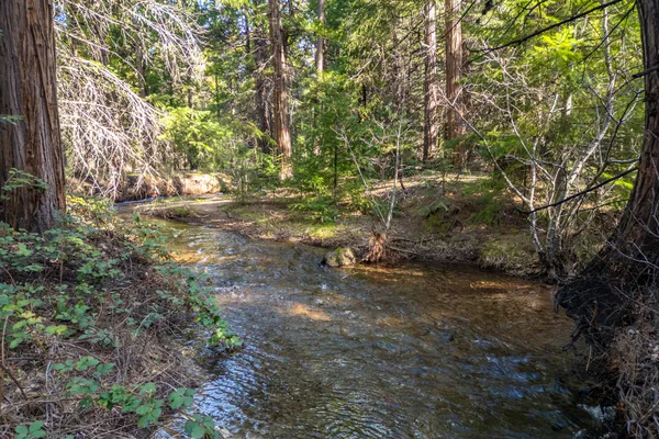 $62,000 | Grassland Court, Shingletown, CA 96088