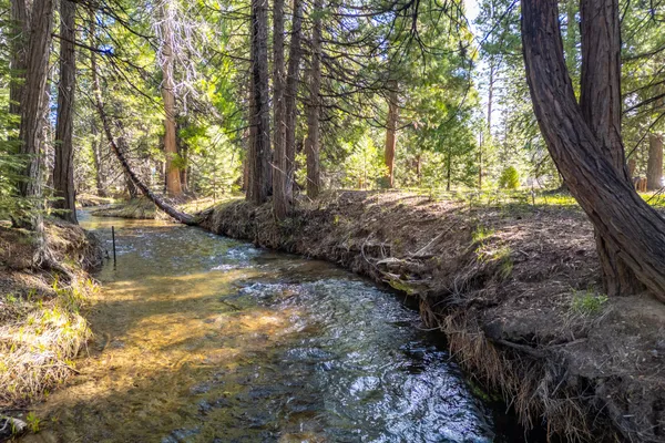 $62,000 | Grassland Court, Shingletown, CA 96088