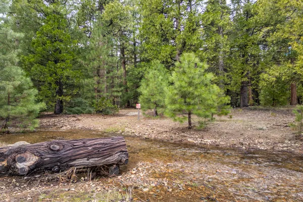 $62,000 | Grassland Court, Shingletown, CA 96088