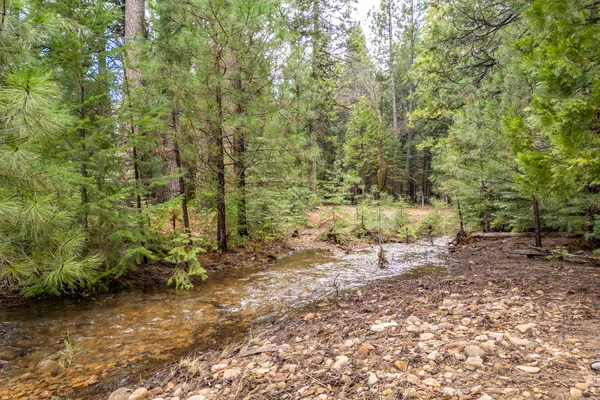 $62,000 | Grassland Court, Shingletown, CA 96088