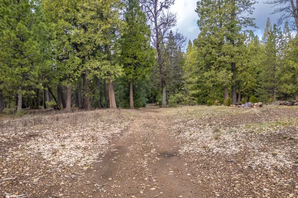 $62,000 | Grassland Court, Shingletown, CA 96088