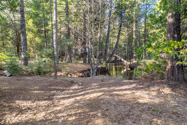 $62,000 | Grassland Court, Shingletown, CA 96088