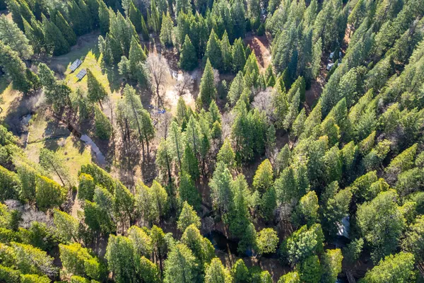 $62,000 | Grassland Court, Shingletown, CA 96088