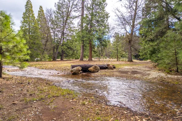 $62,000 | Grassland Court, Shingletown, CA 96088