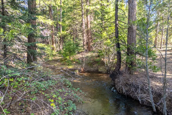 $62,000 | Grassland Court, Shingletown, CA 96088