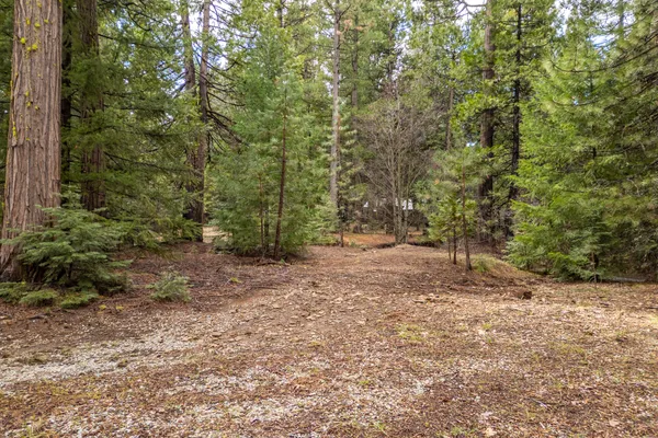 $62,000 | Grassland Court, Shingletown, CA 96088