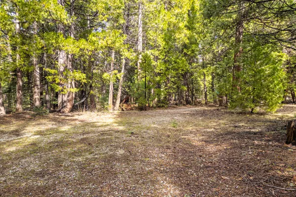 $62,000 | Grassland Court, Shingletown, CA 96088