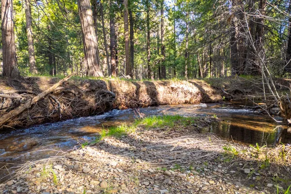 $62,000 | Grassland Court, Shingletown, CA 96088