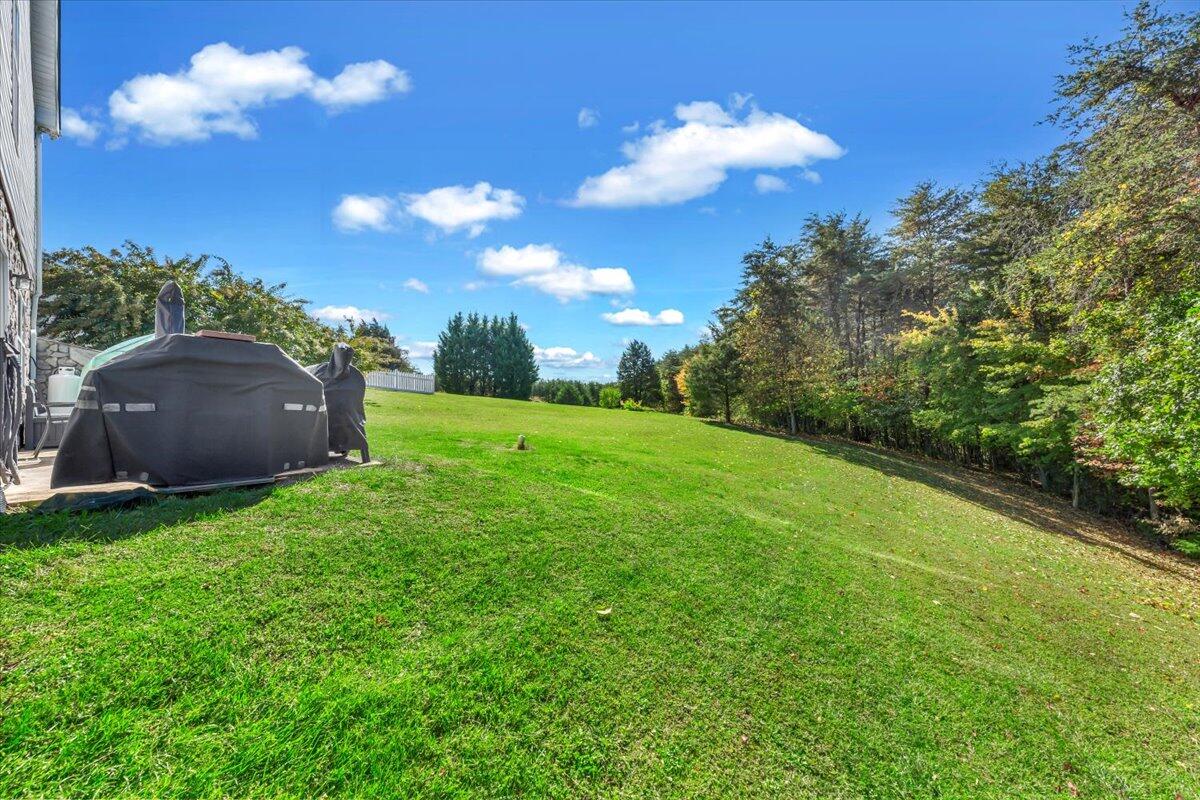 160 Sunny Field Road Wirtz, VA 24184 - Photo 35 of 42 38-MIB04351