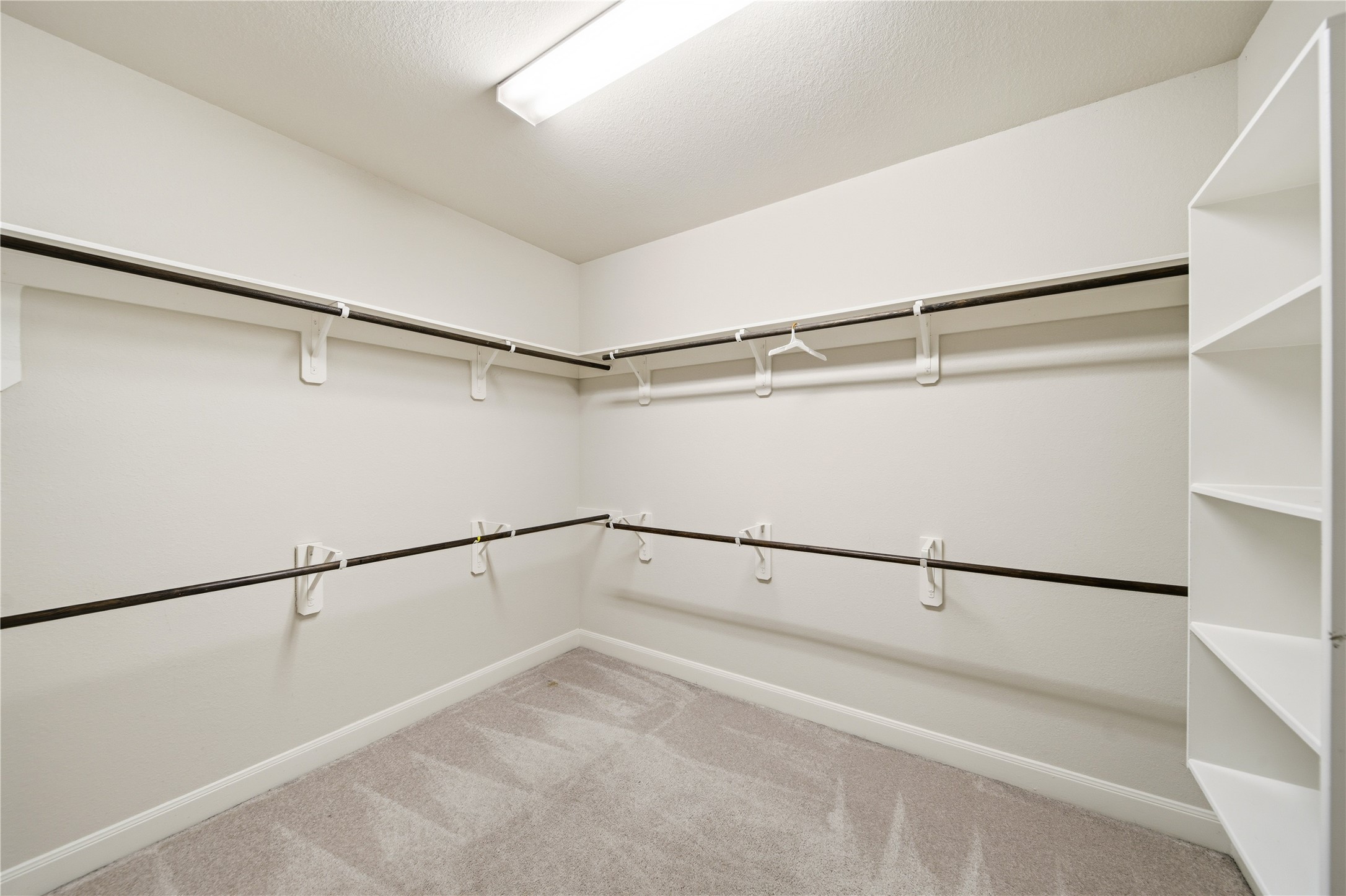 5303 Mesquite Willow Lane Rosharon, TX 77583 - Photo 20 of 32 Spacious primary walk-in closet featuring multiple hanging rods and built-in shelving, perfect for organizing clothing and accessories.