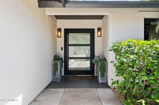 a living room that has a potted plant and a potted plant