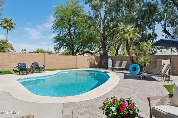 a swimming pool with lots of tress in the background