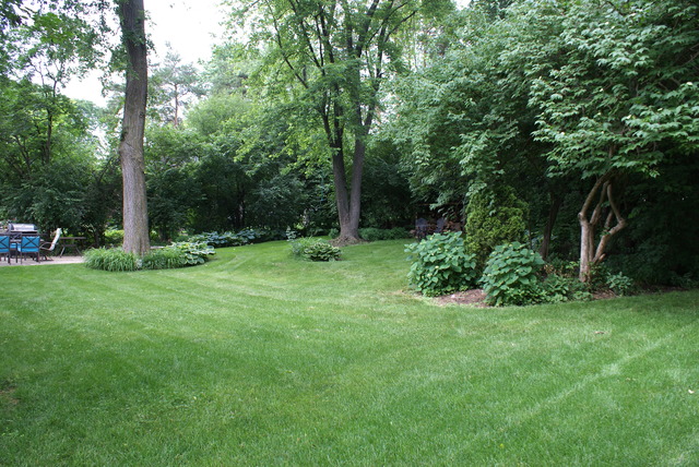 4259 Keim Road Lisle, IL 60532 - Photo 23 of 25 a view of a tree in a garden