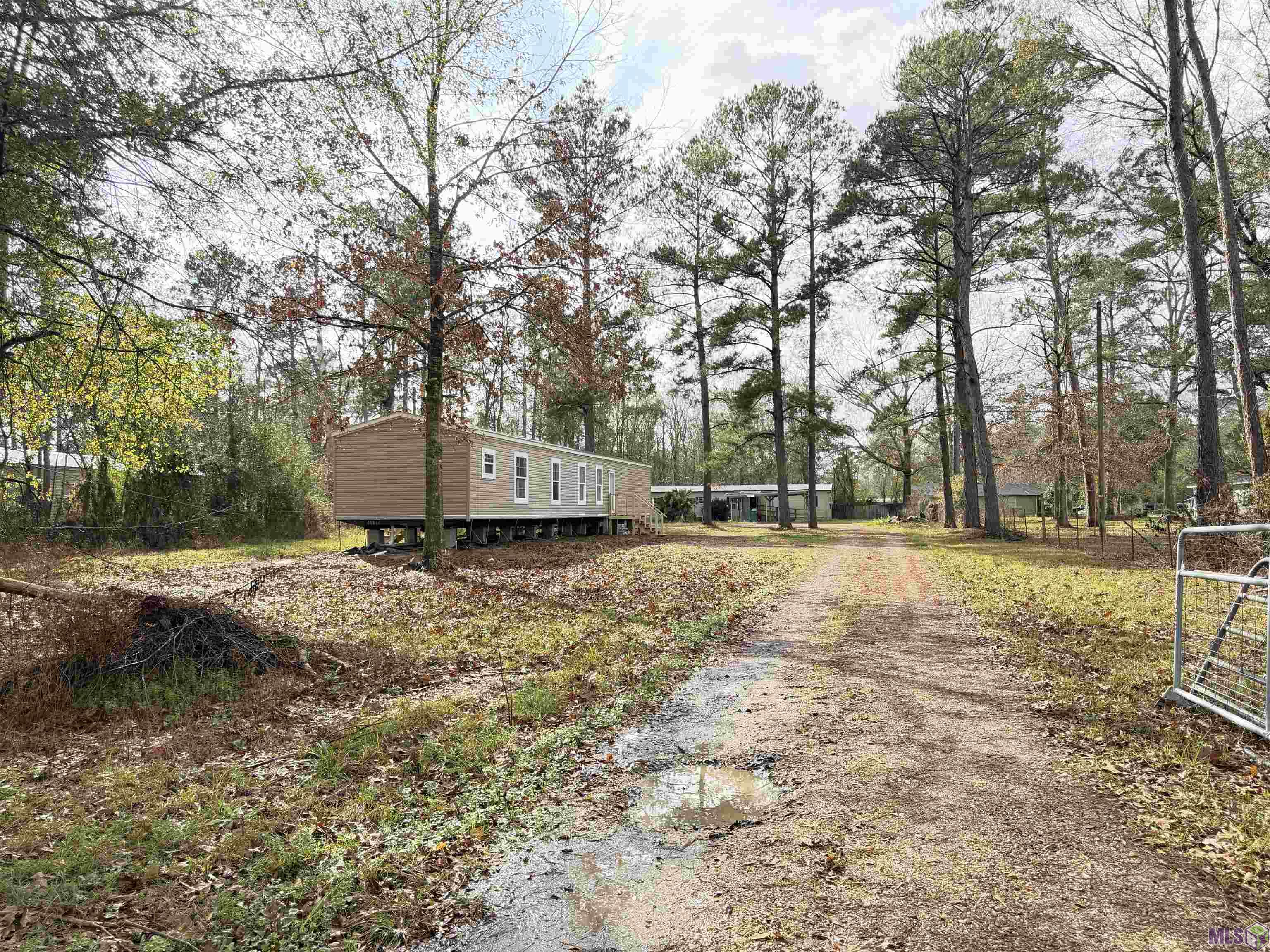 27031 South Satsuma Road Livingston, LA 70754 - Photo 2 of 19