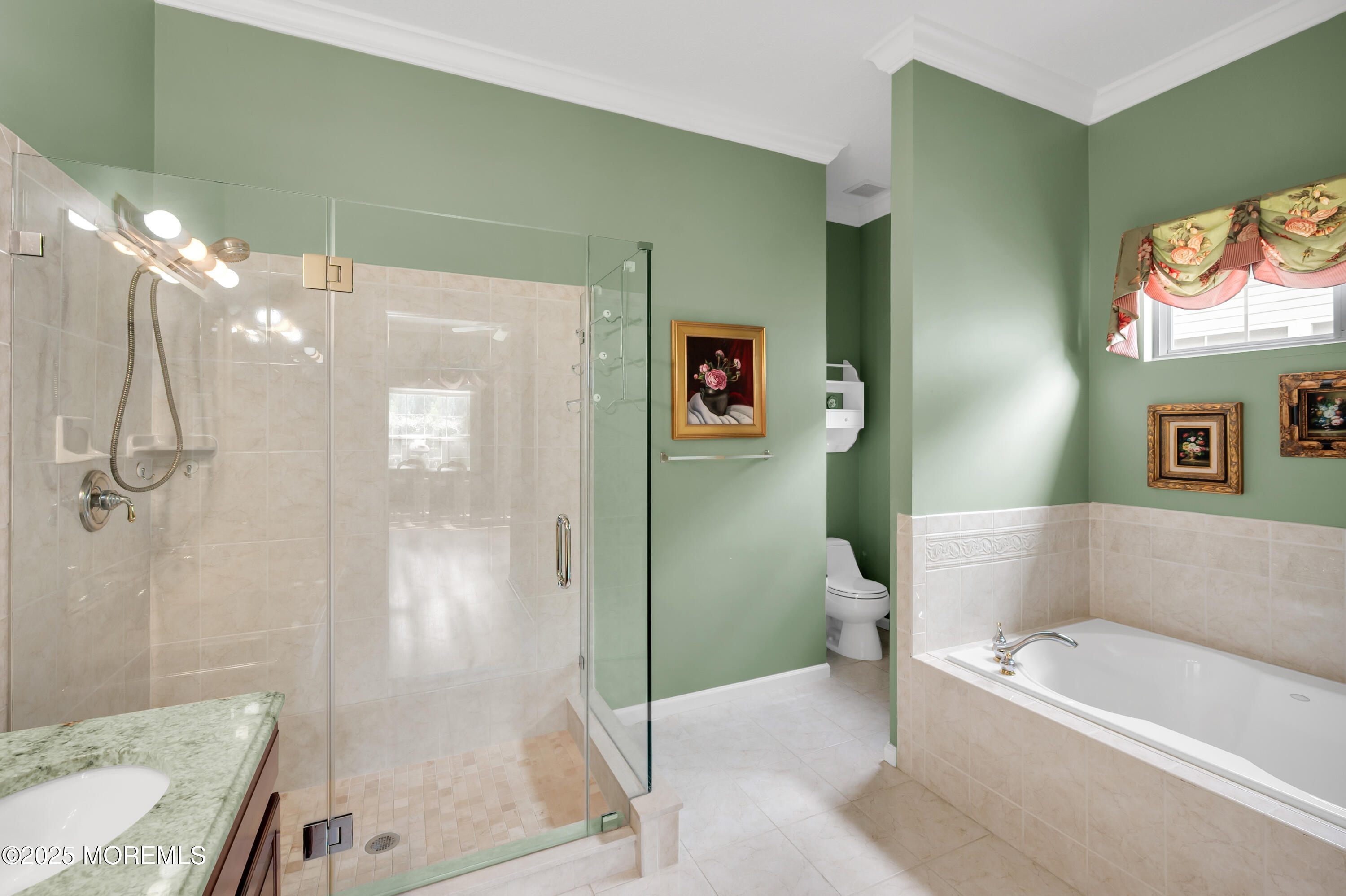 41 Silverside Road Lakewood, NJ 08701 - Photo 24 of 43 En-Suite Master Bath