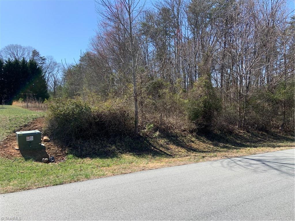 228 Sitting Rock Drive Madison, NC 27025 - Photo 4 of 6 View of lot from street
