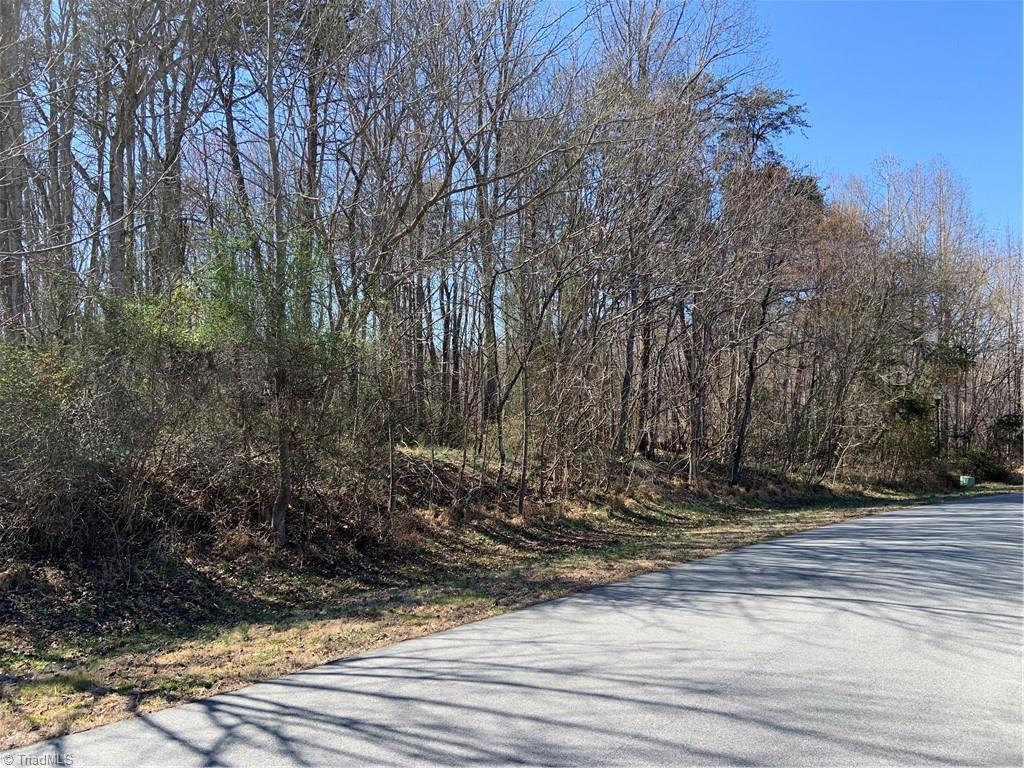228 Sitting Rock Drive Madison, NC 27025 - Photo 5 of 6 View of lot from street