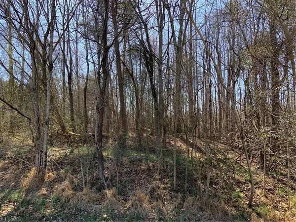 228 Sitting Rock Drive, Madison, NC 27025