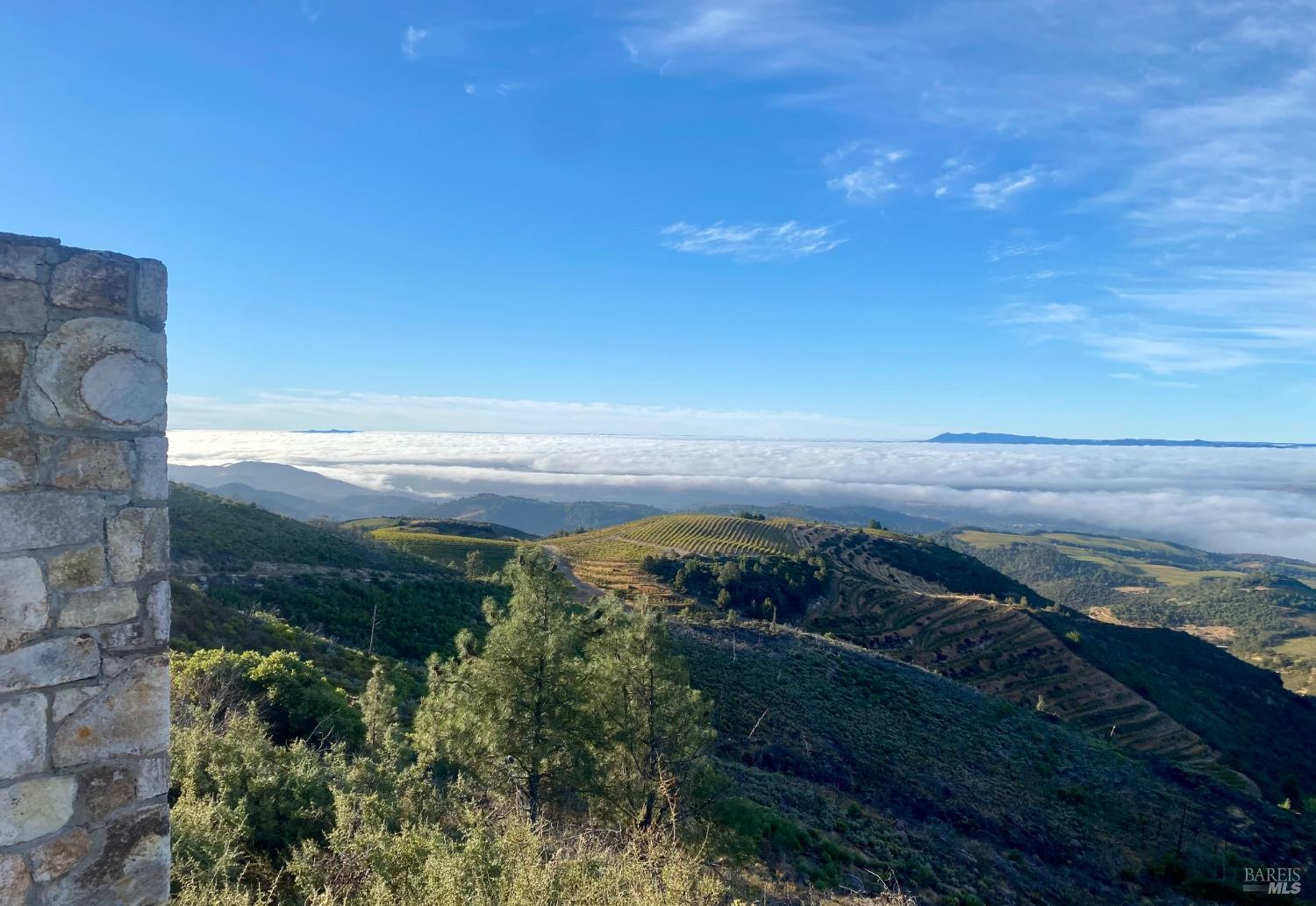 4420 Cavedale Road Sonoma, CA 95476 - Photo 23 of 25 As you drive through the stone pillar gate this is the experience of your drive as you pass through Hannah Vineyards and have the views beyond.