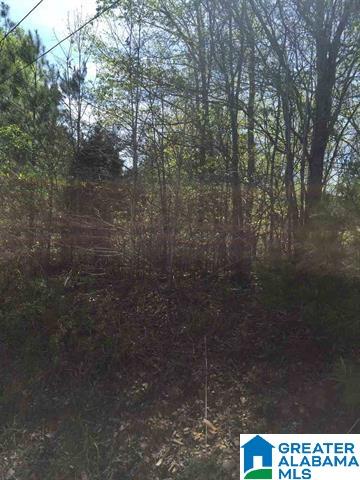 1331 Cedar Creek Road, Unit 4 ACRES Odenville, AL 35120 - Photo 14 of 20
