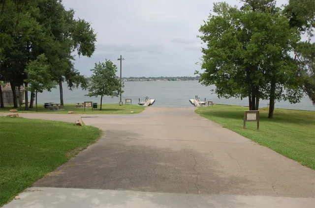 a view of green field with tree in the background