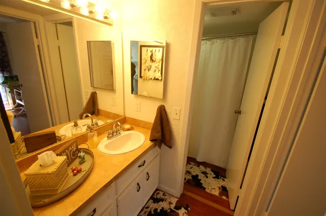 a bathroom with a sink and a mirror