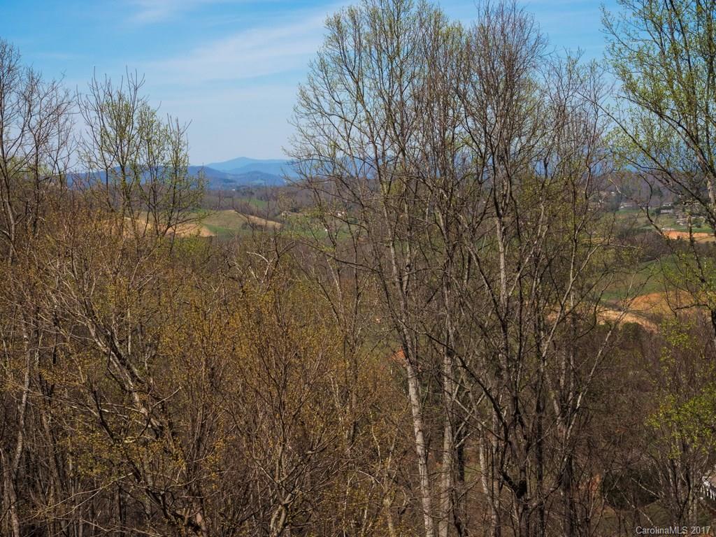 99 High Ridge Road Leicester, NC 28748 - Photo 3 of 24