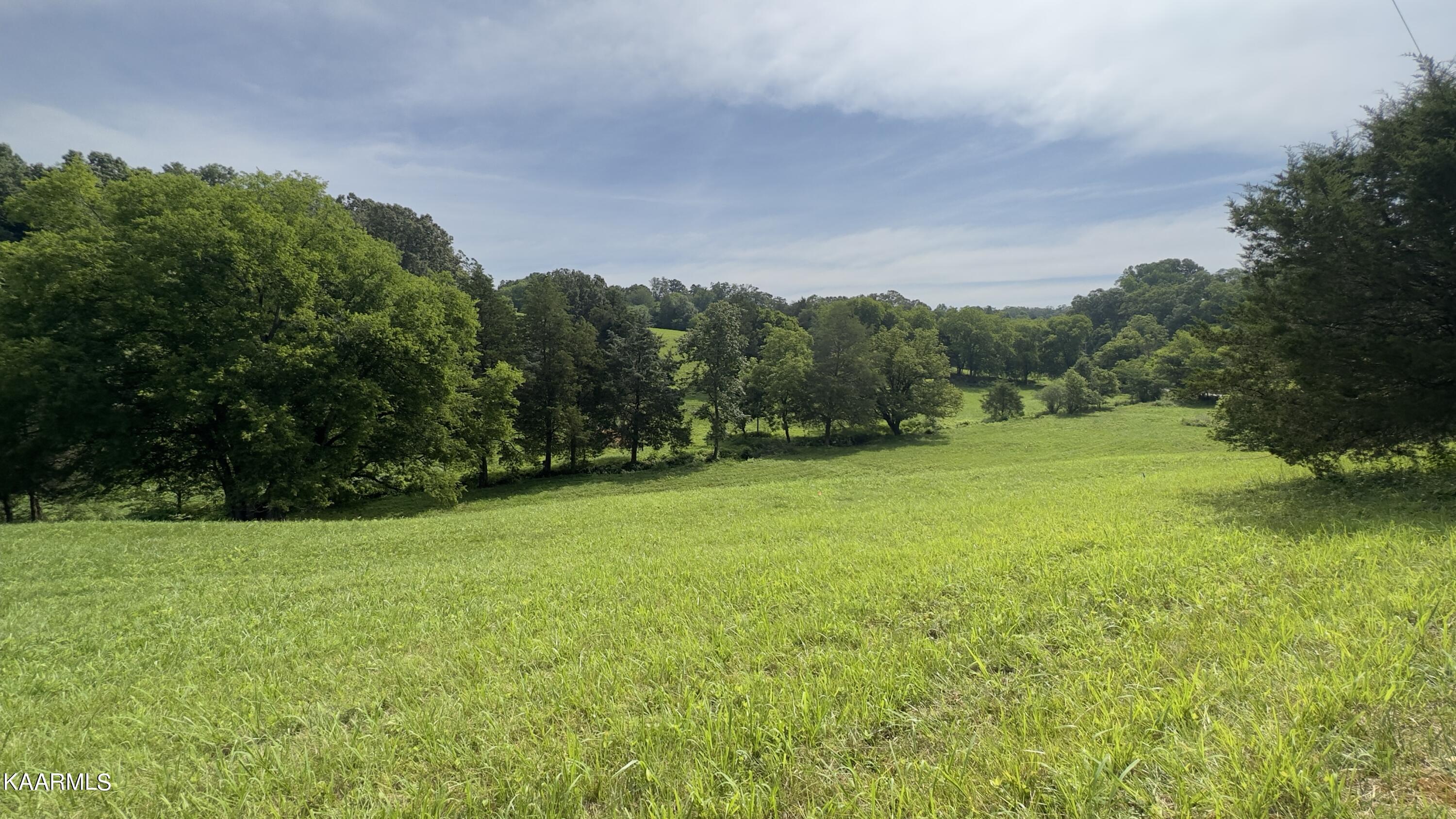 Lot 5 Shady Road Strawberry Plains, TN 37871 - Photo 2 of 4 SR6