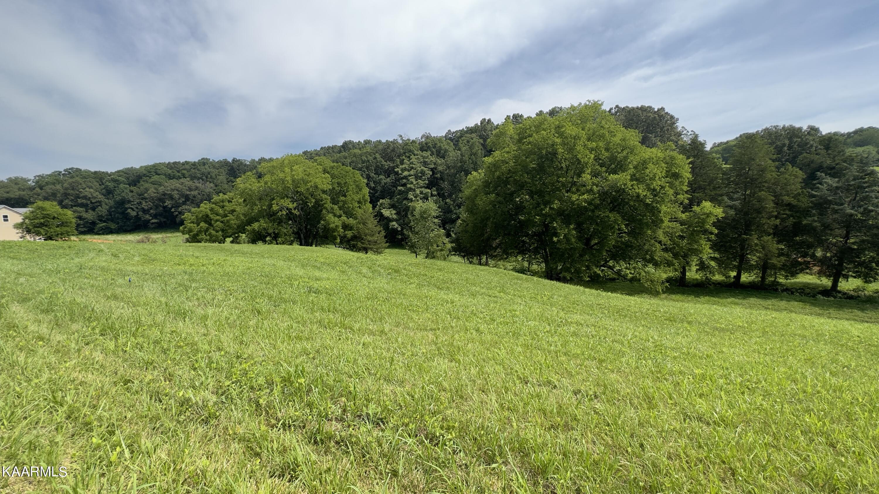 Lot 5 Shady Road Strawberry Plains, TN 37871 - Photo 3 of 4 SR7