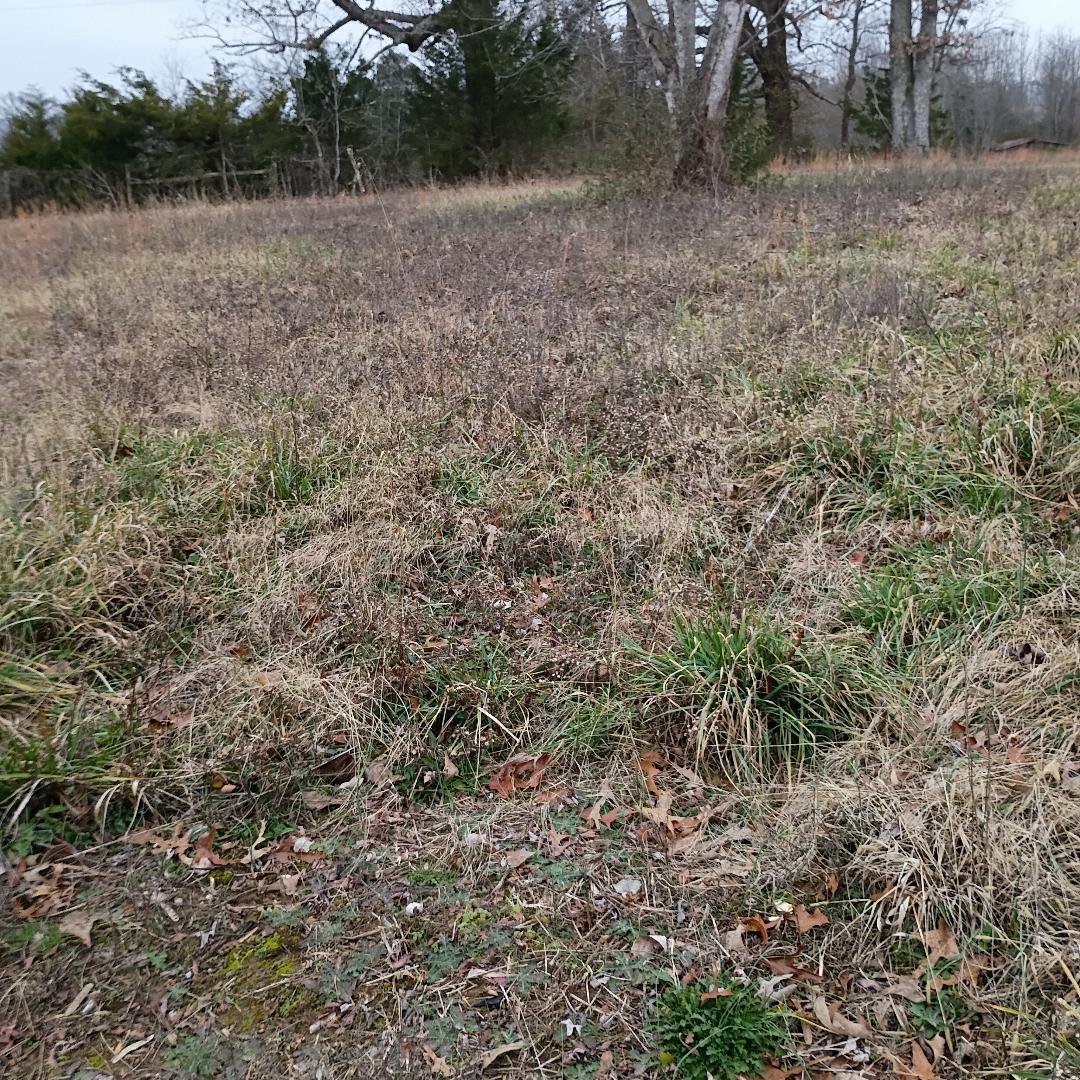 497 Old Bethel Road Monticello, KY 42633 - Photo 12 of 21 thumbnail 8