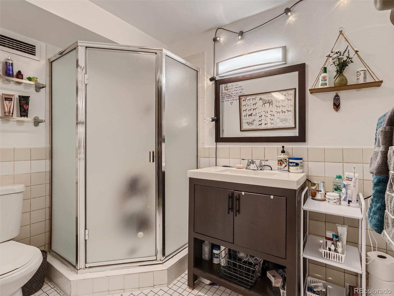 1155 Ash Street, Unit 202 Denver, CO 80220 - Photo 8 of 21 a bathroom with a sink and a mirror