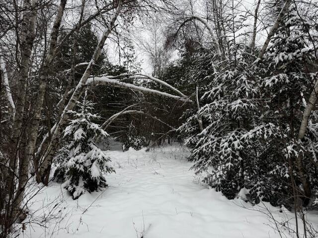 M6-l75-7 Raymond Road Palmyra, ME 04965 - Photo 14 of 17 IMG_1809